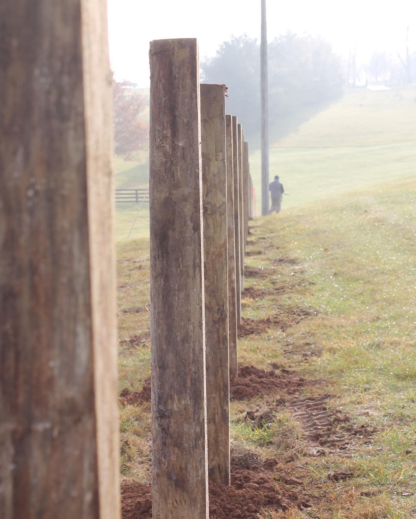 Agricultural fence protecting a Kentucky farm field